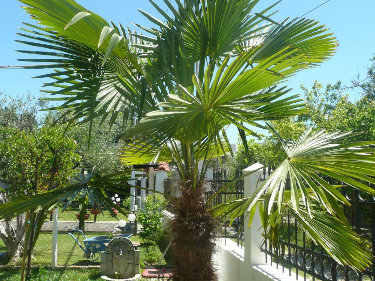 Kallilkratia Holiday Flat 2 Nea Kallikrateia Exteriér fotografie